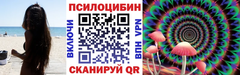 Псилоцибиновые грибы Magic Shrooms  купить   Бирюсинск 